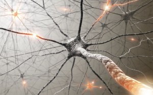 neurons-120208