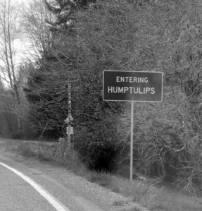 Silly Named Game Towns 008