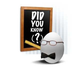 did you know2