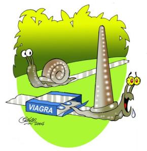 viagra_45305