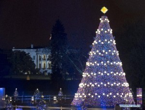 White House Christmas lights