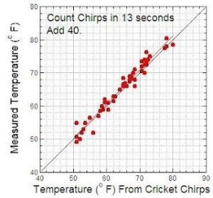 cricket chirp and temperature