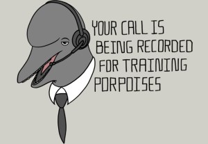 training porpoises