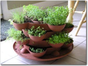 Indoor-Herb-Garden