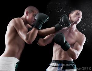 boxers