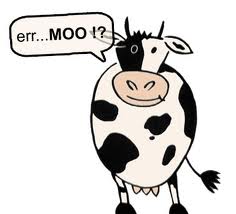 mooing