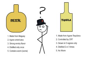 mezcal and tequila difference