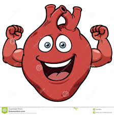 the heart