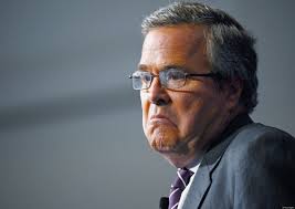 jeb bush