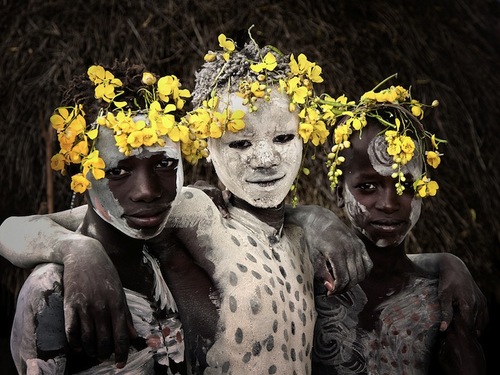 Tribes x1