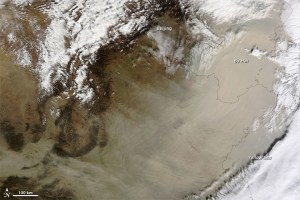 echina_tmo_2010315