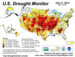 USDM 31july12