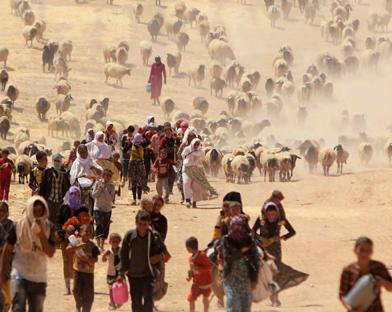 IDPs -IDMC photo
