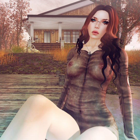 The Lake House