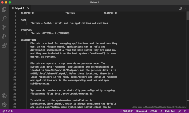 1 File Screenshot Screenshot of a .1 file in Microsoft Visual Studio Code