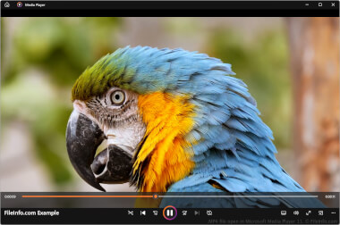 MP4 File Screenshot Screenshot of a .mp4 file in Microsoft Media Player 11