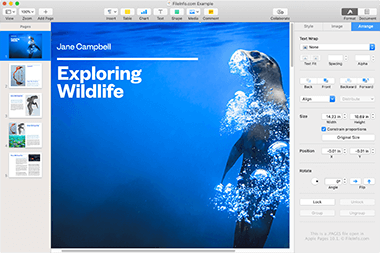 PAGES File Screenshot Screenshot of a .pages file in Apple Pages 10.1
