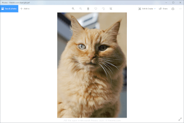 PEF File Screenshot Screenshot of a .pef file in Microsoft Photos 2020
