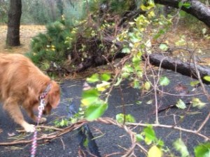 photo-15