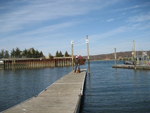 IMG_6849