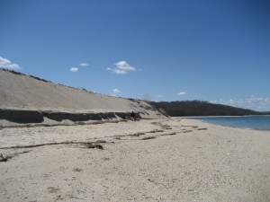 IMG_7144