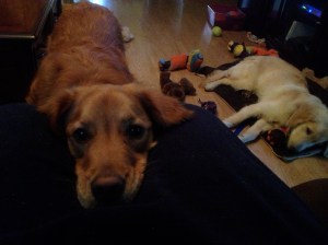 photo-109