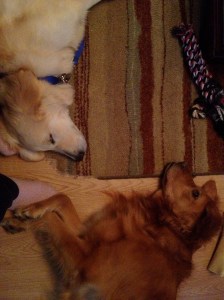 photo-110