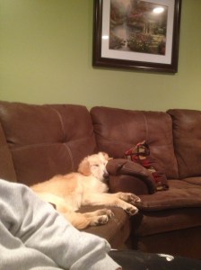 photo-31