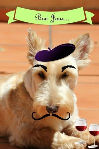 wally-the-frenchman