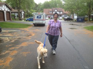 photo-42