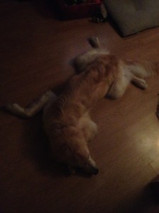 photo-54