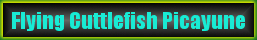 FC_button1