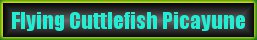 FC_button1