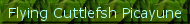 FC_button2