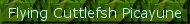 FC_button2