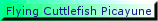 FC_smallbutton1