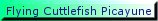 FC_smallbutton1