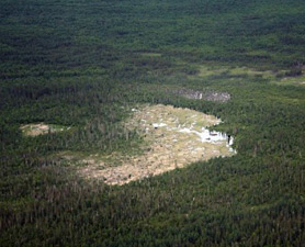 beaver-dam-278x225 beaver dam