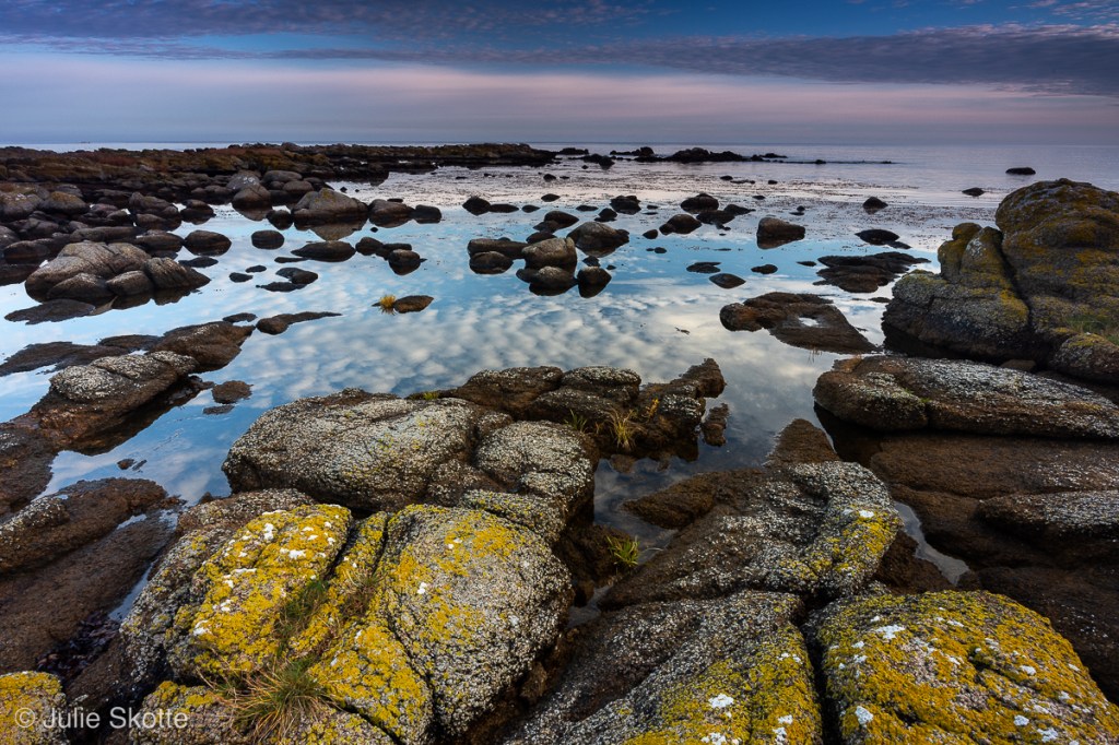 Rocky coast, lichens and sunrise