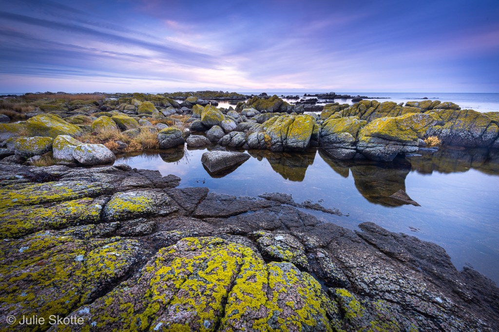 Rocky coast, lichens and sunrise