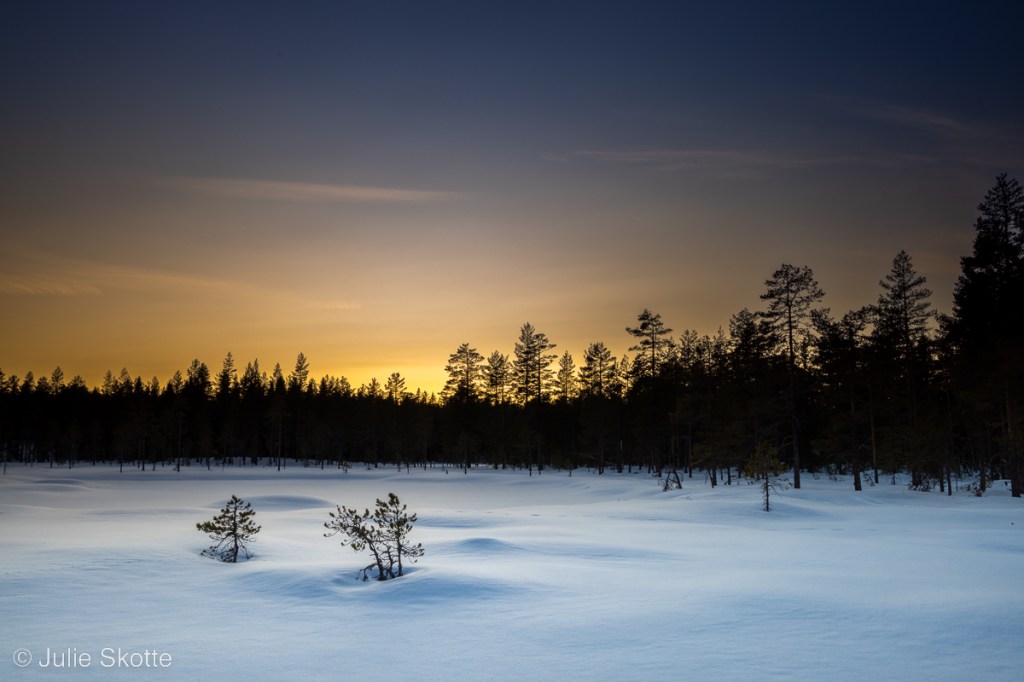 Landscape with snow and a colorful sunset.