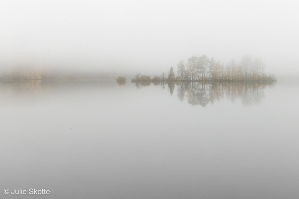 A foggy fall morning in Örnafälla, Sweden. A small island is visible in the fog.