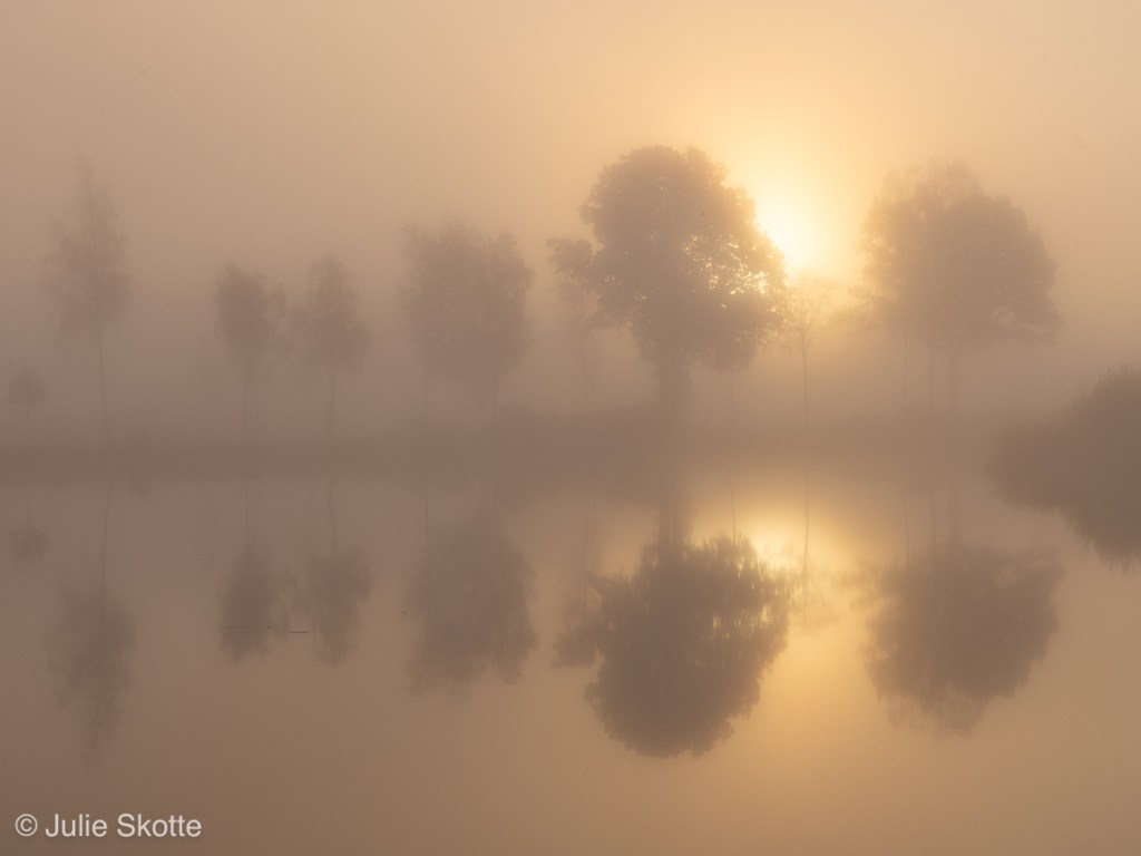 A foggy fall morning in Örnafälla, Sweden. Silhouette trees are mirrored in the water as the sun rises in the background.