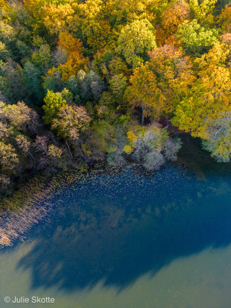 Drone billede af farum sø. træer langs breden er i efterårsfarver.