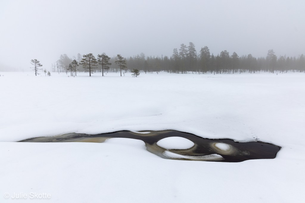Smiley i snelandskab i tåge, Sverige.