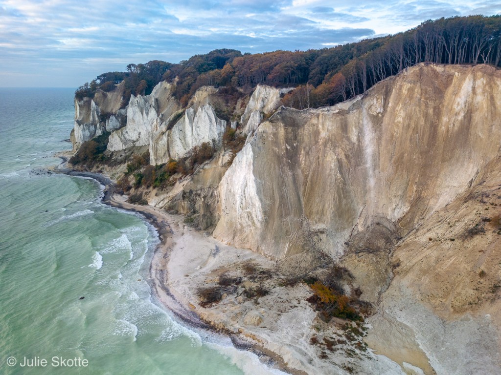 Dronebillede fra Møns klint en efterårsdag, hvor træernes blade er gyldne. Nederst ses skredet fra vinteren 2024.