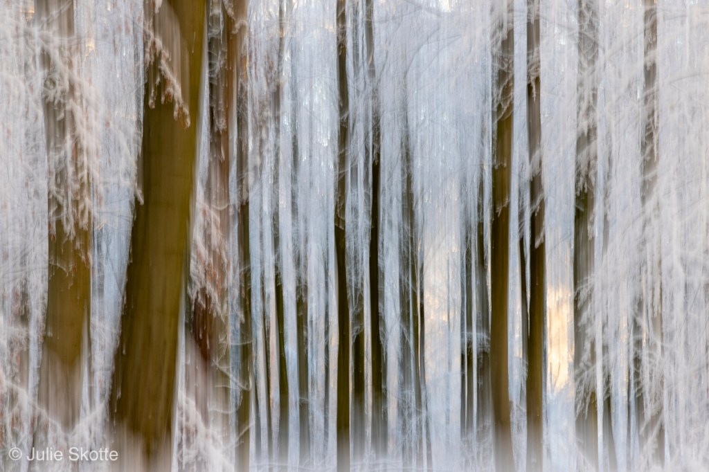 Dreamy image of a snow covered forest, where early sun light is hitting some of the trees. The photo is taken with a fairly long exposure time and intentional camera movent, to create a dreamy effect.