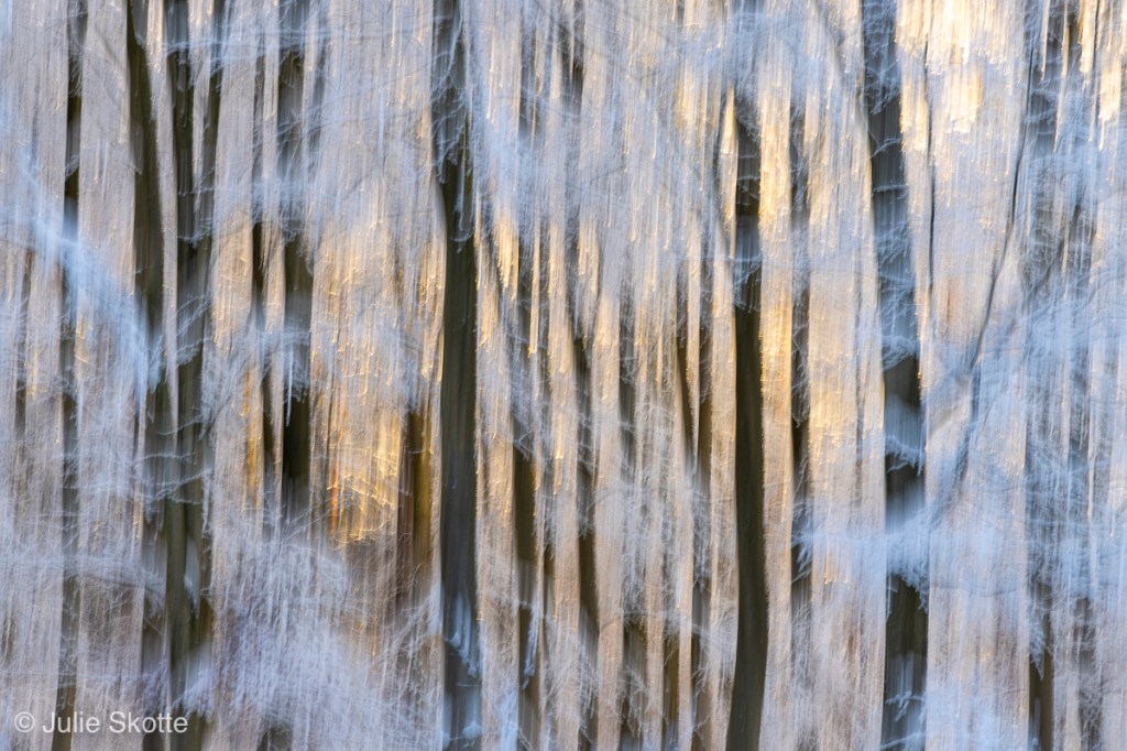 Dreamy image of a snow covered forest, where early sun light is hitting some of the trees. The photo is taken with a fairly long exposure time and intentional camera movent, to create a dreamy effect.