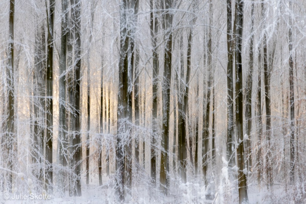 Dreamy image of a snow covered forest, where early sun light is hitting some of the trees. The photo is taken with a fairly long exposure time and intentional camera movent, to create a dreamy effect.