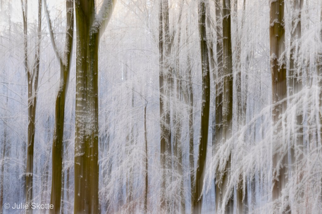 Dreamy image of a snow covered forest, where early sun light is hitting some of the trees. The photo is taken with a fairly long exposure time and intentional camera movent, to create a dreamy effect.